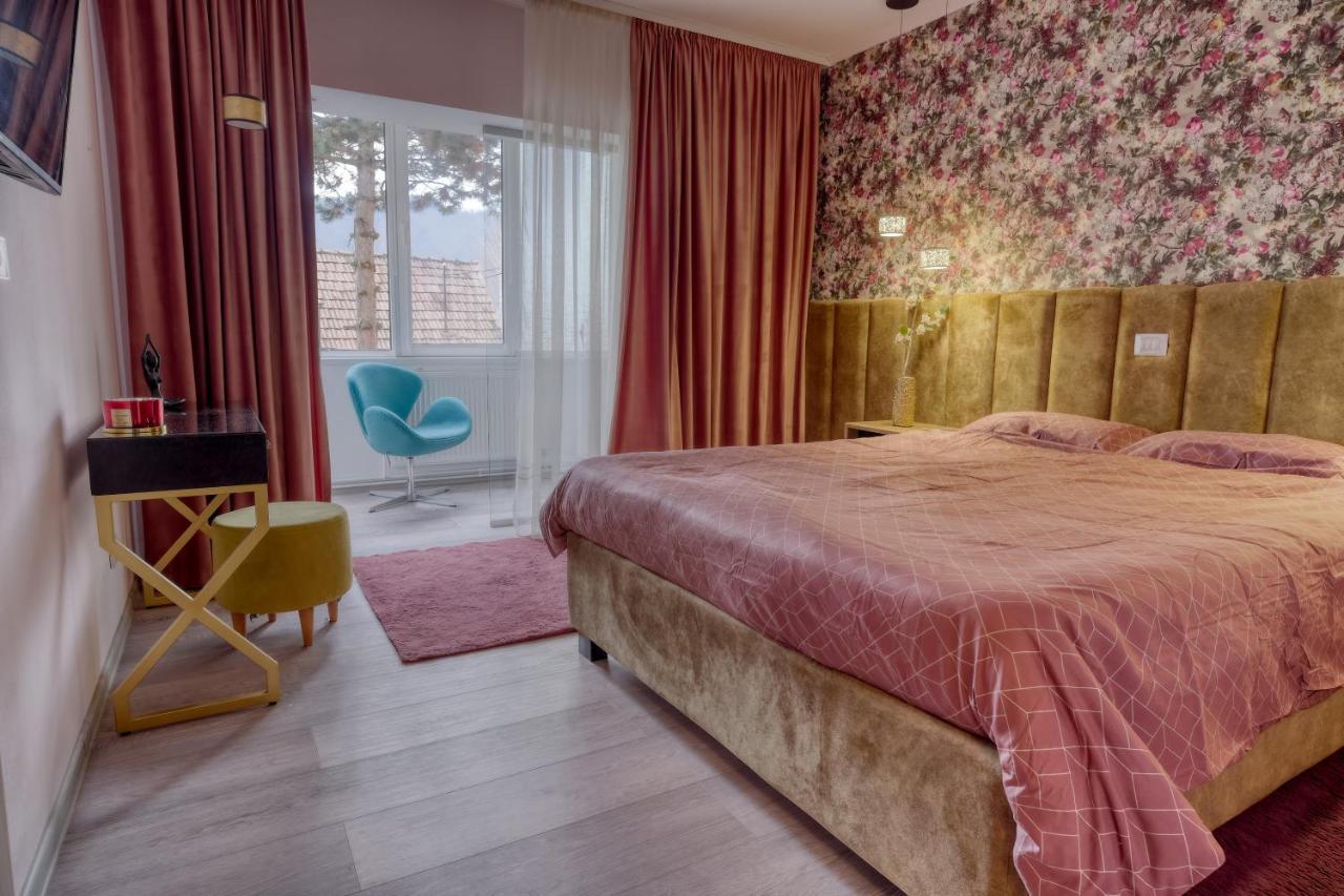 Central Luxury Apartment With City View ブラショフ エクステリア 写真