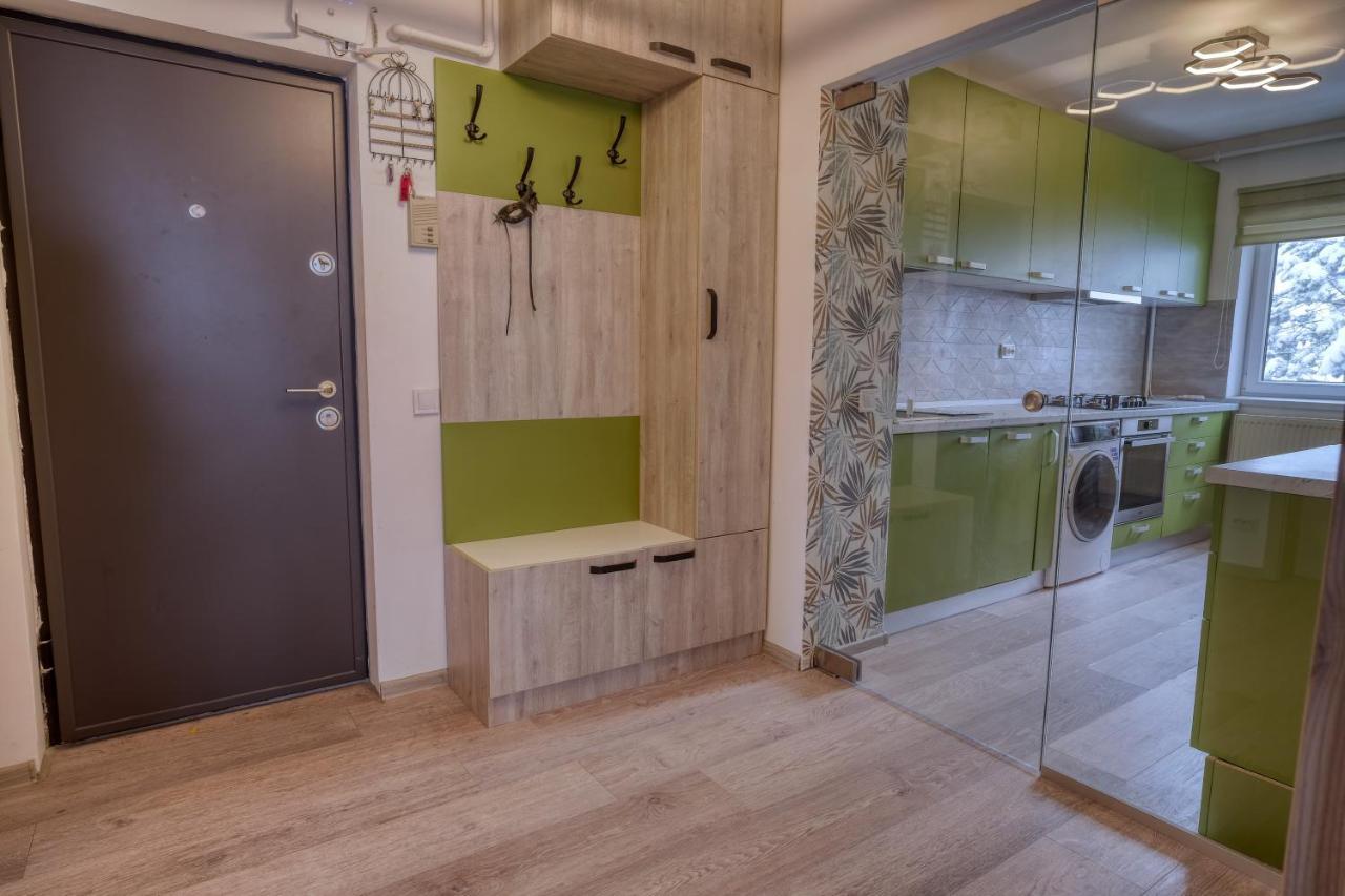 Central Luxury Apartment With City View ブラショフ エクステリア 写真