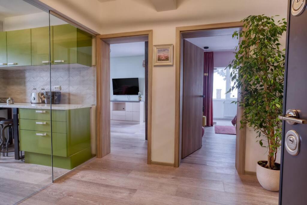 Central Luxury Apartment With City View ブラショフ エクステリア 写真