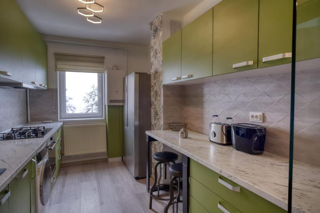 Central Luxury Apartment With City View ブラショフ エクステリア 写真