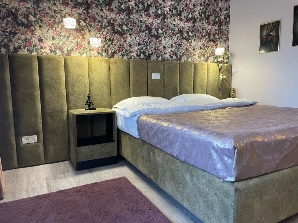 Central Luxury Apartment With City View ブラショフ エクステリア 写真