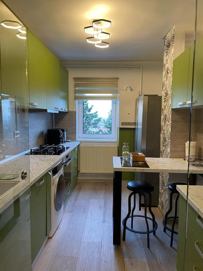 Central Luxury Apartment With City View ブラショフ エクステリア 写真