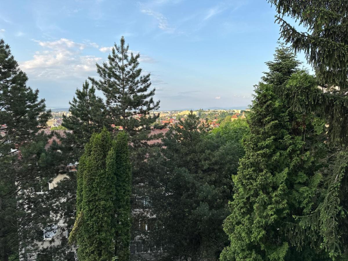Central Luxury Apartment With City View ブラショフ エクステリア 写真